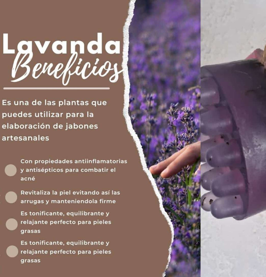 Jabón de glicerina Lavanda
