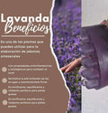 Jabón de glicerina Lavanda