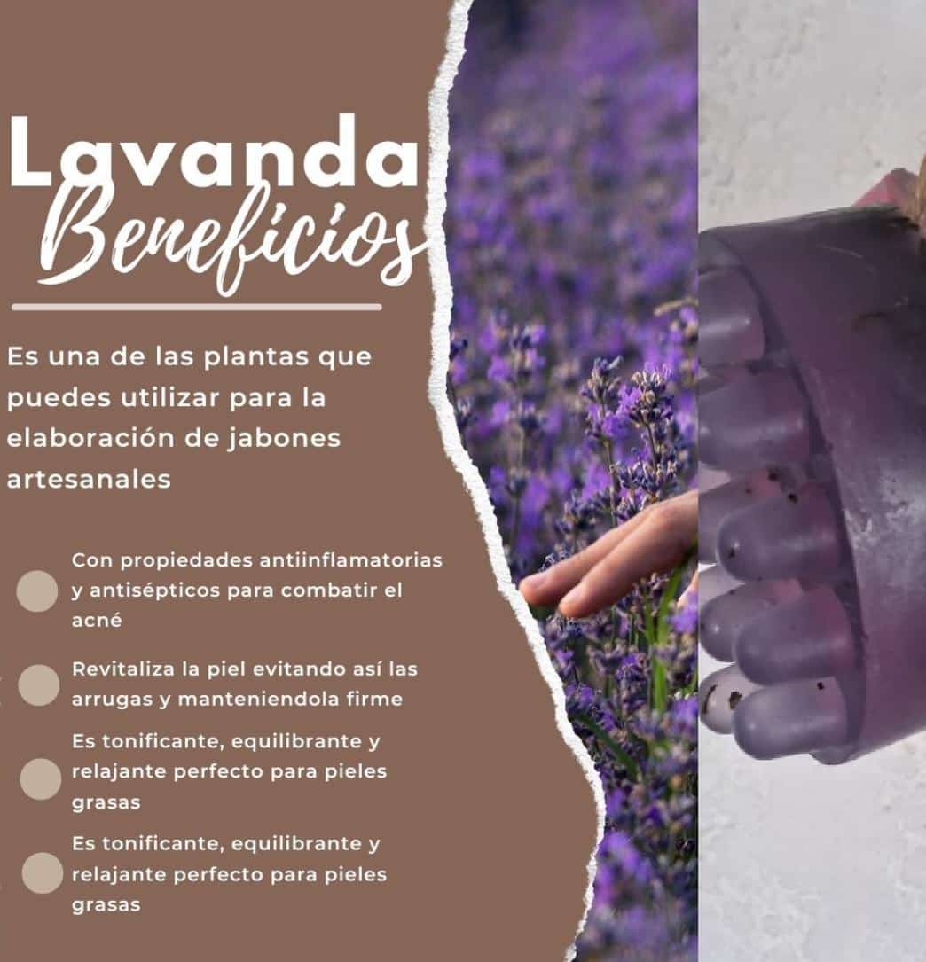 Jabón de glicerina Lavanda